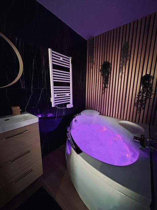 T4 Jolie Vue Avec Jaccuzzi Apartment *